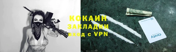 стафф Михайлов