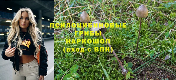 соль ск Навашино