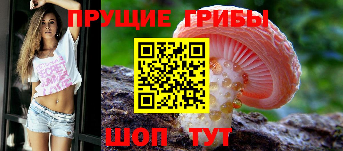 Вичуга  дарнет шоп  Вход с VPN  Галлюциногенные грибы Psilocybine cubensis  Псилоцибиновые грибы прущие грибы 